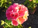 Spokane Photographs (579)