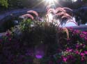 Spokane Photographs (582)
