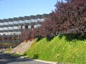 Spokane Photographs (590)