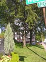Spokane Photographs (605)