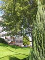 Spokane Photographs (611)