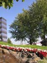 Spokane Photographs (618)