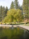 Spokane Photographs (63)