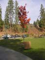 Spokane Photographs (65)