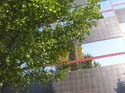 Spokane Photographs (654)
