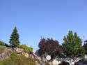 Spokane Photographs (667)
