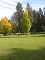 Spokane Photographs (70)