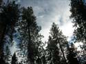 Spokane Photographs (741)