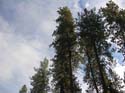 Spokane Photographs (742)