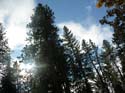 Spokane Photographs (743)