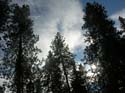 Spokane Photographs (744)
