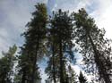 Spokane Photographs (745)