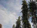 Spokane Photographs (746)