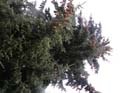 Spokane Photographs (748)