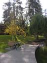 Spokane Photographs (75)