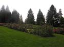 Spokane Photographs (754)