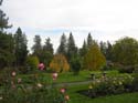 Spokane Photographs (761)