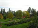 Spokane Photographs (762)
