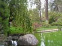 Spokane Photographs (769)