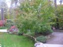 Spokane Photographs (774)
