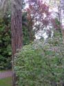 Spokane Photographs (775)