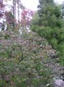 Spokane Photographs (776)