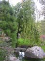 Spokane Photographs (777)