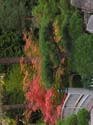 Spokane Photographs (789)