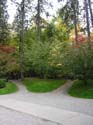 Spokane Photographs (800)