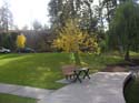 Spokane Photographs (91)
