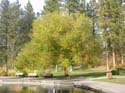 Spokane Photographs (93)