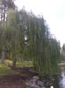 Spokane Photographs (98)