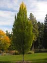 Spokane Photographs (99)